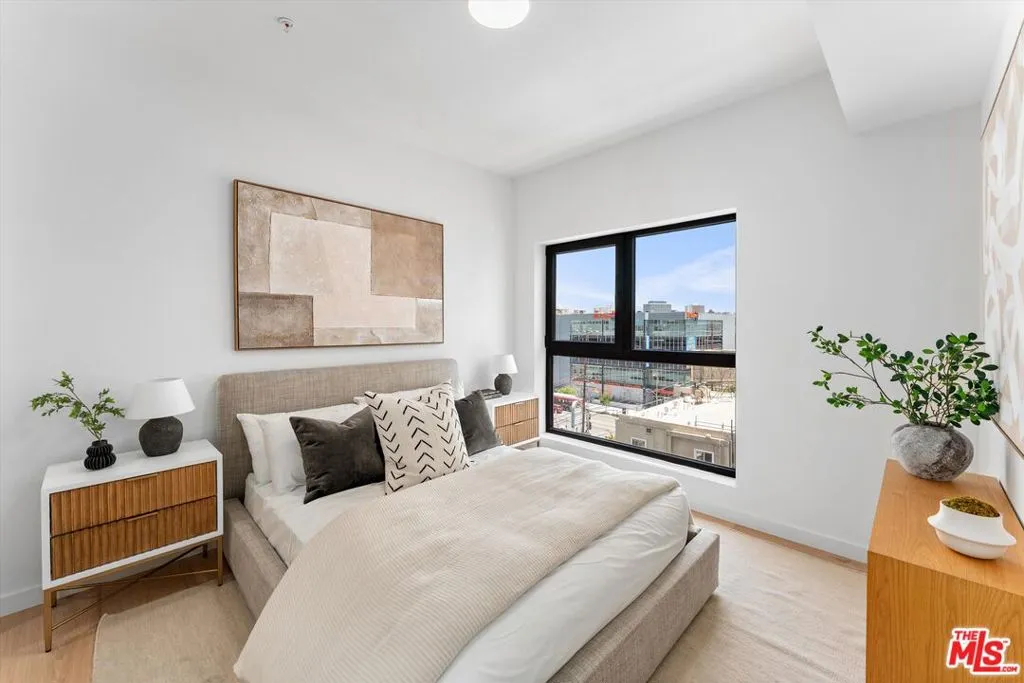 904 S New Hampshire Avenue 506, Los Angeles, California 90006 home-pic-11